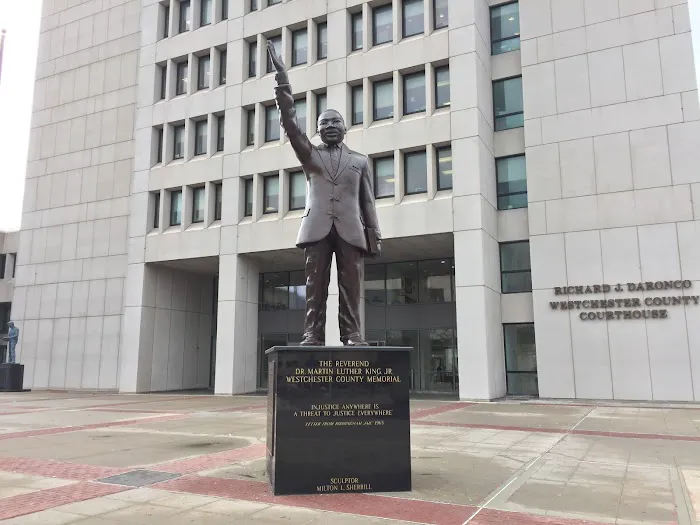 Law Office of Michael D. Litman, PLLC 4