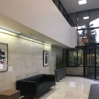 Law Office of Carl Spector ico