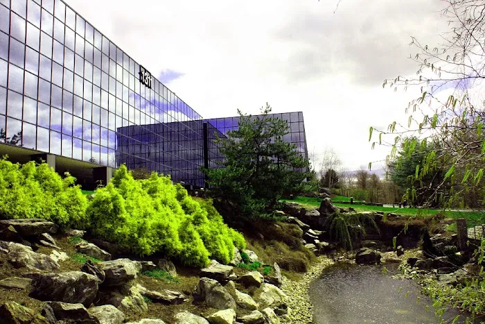 Finkelstein & Partners, LLP 4