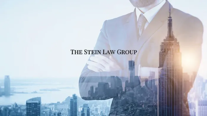The Stein Law Group 4