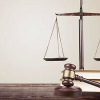 The Stein Law Group ico