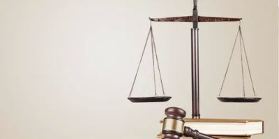 The Stein Law Group