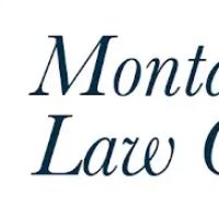 The Montanari Law Group, LLC ico