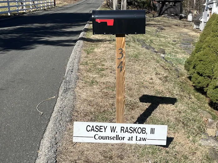 Law Office of Casey Raskob, PC and speedlaw.net 4