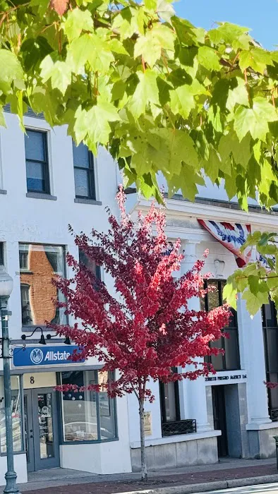 Philip Hersh Law Offices: Hersh Philip 4