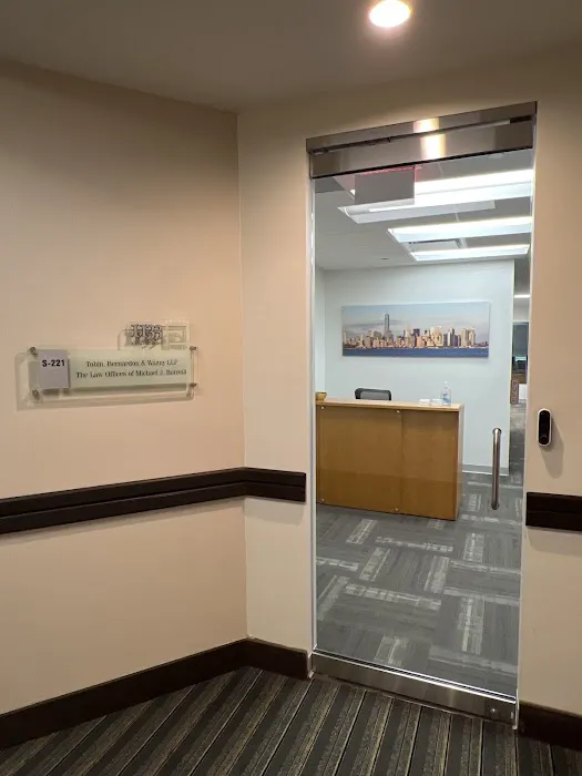 The Law Offices of Michael J. Borrelli, P.L.L.C. 4