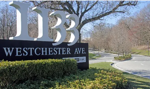 The Law Offices of Michael J. Borrelli, P.L.L.C. 4