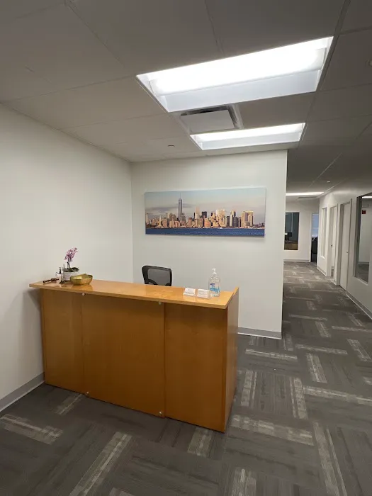The Law Offices of Michael J. Borrelli, P.L.L.C. 4