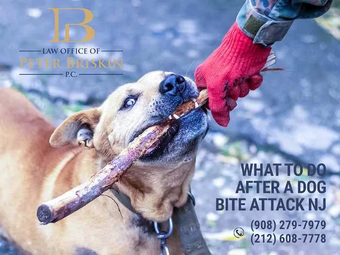 Peter Briskin P.c D/B/A Accident Lawyer NJ Peter Briskin 5