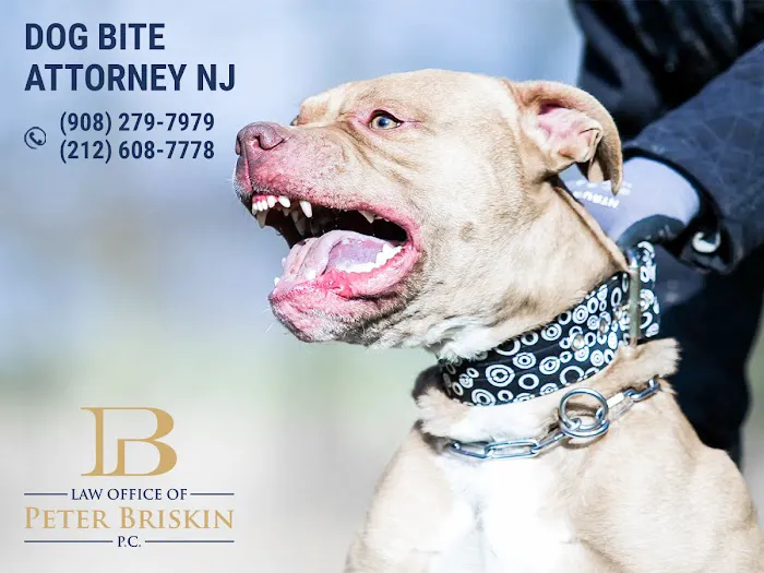 Peter Briskin P.c D/B/A Accident Lawyer NJ Peter Briskin 5