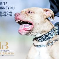 Peter Briskin P.c D/B/A Accident Lawyer NJ Peter Briskin ico