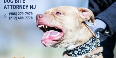 Peter Briskin P.c D/B/A Accident Lawyer NJ Peter Briskin