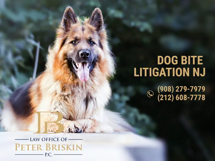 Peter Briskin P.c D/B/A Accident Lawyer NJ Peter Briskin 5
