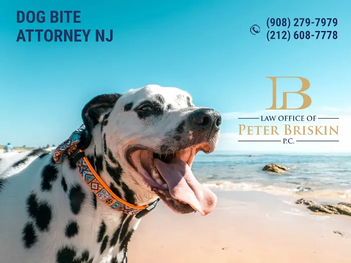 Peter Briskin P.c D/B/A Accident Lawyer NJ Peter Briskin 5