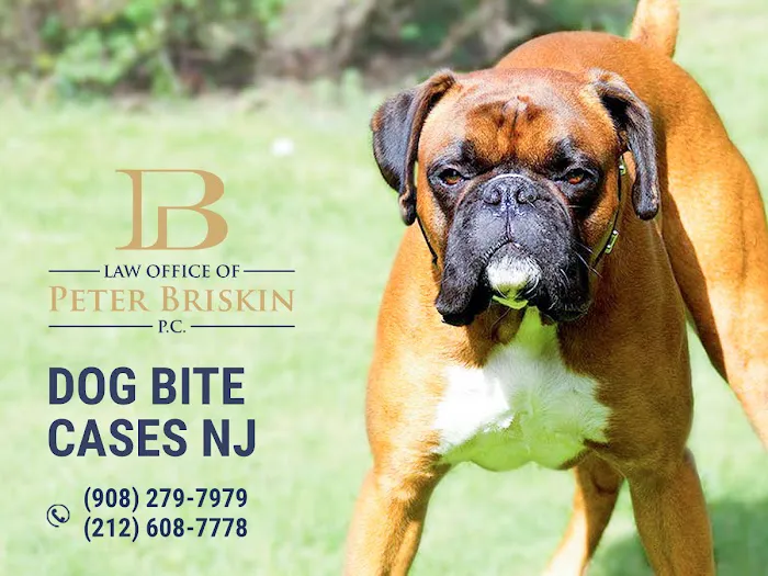 Personal Injury Lawyer Peter Briskin 5