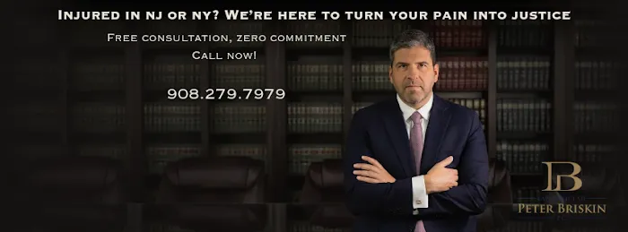 Personal Injury Lawyer Peter Briskin 5