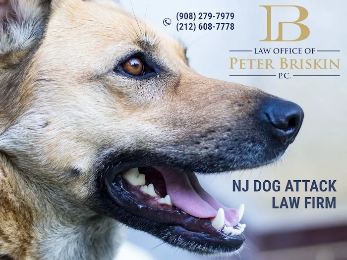 Personal Injury Lawyer Peter Briskin 5