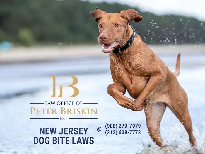 Personal Injury Lawyer Peter Briskin 5