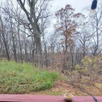 Fox Hill Dover Tenant Corporation ico