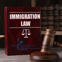 Pozo Goldstein, LLP ico
