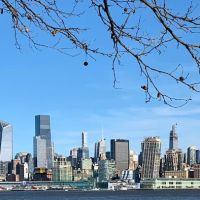 Law Offices of Peter M. Leschner-Attorney at Law ico