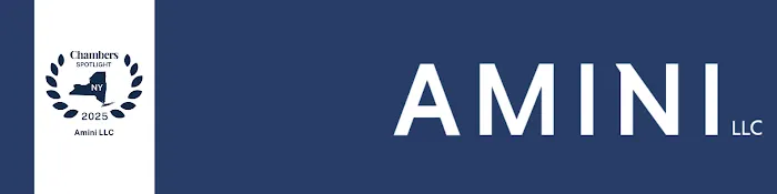 Amini LLC 4