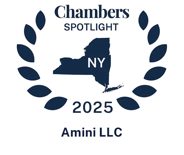 Amini LLC 4