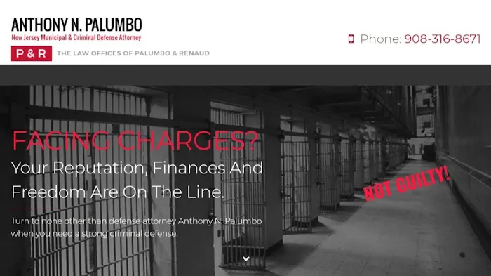 The Law Offices of Anthony N. Palumbo 4