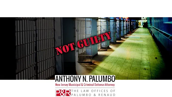 The Law Offices of Anthony N. Palumbo 4