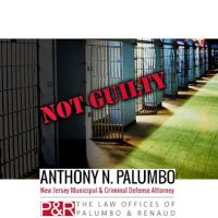 The Law Offices of Anthony N. Palumbo ico