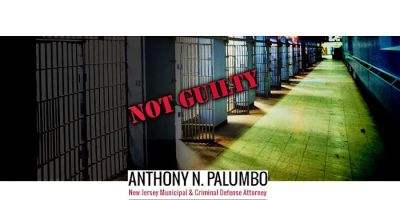 The Law Offices of Anthony N. Palumbo