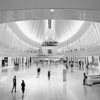 Ross and Katz PLLC ico