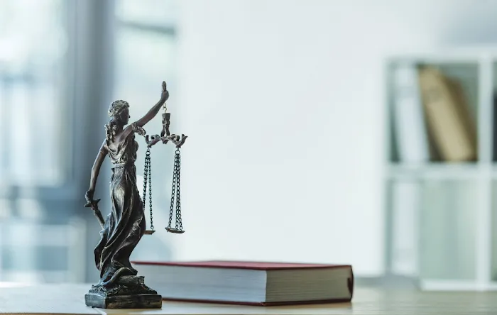 Law Office of David Molot 4