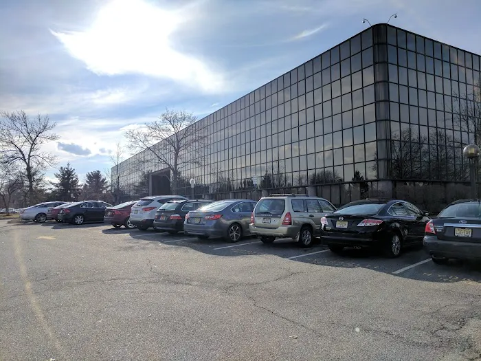 Hoffmann & Baron, LLP 5