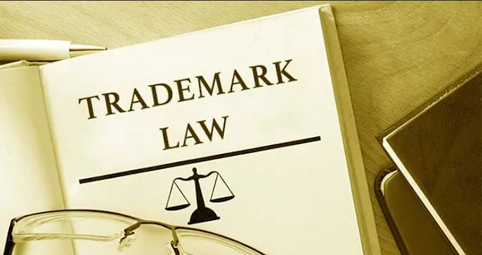 Leo Fraser Attorney at Law 4