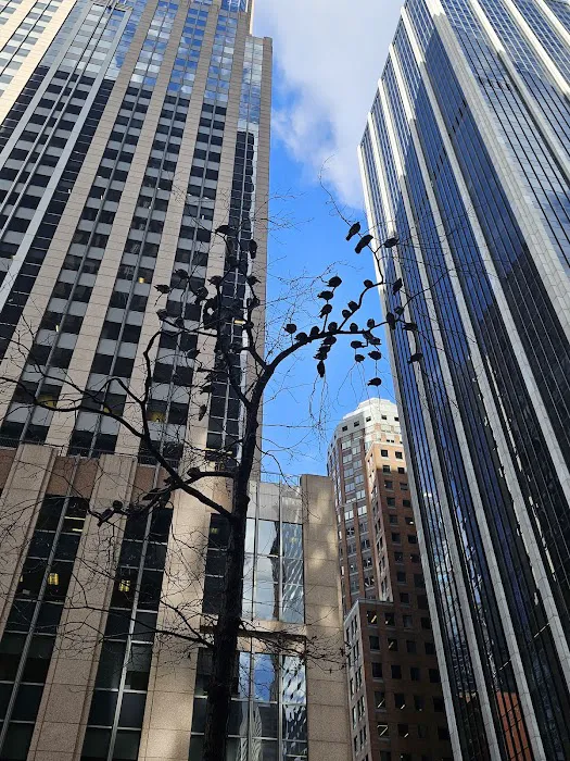 Goidel & Siegel LLP 4