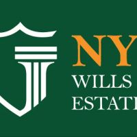 Law Offices of Vlad Portnoy, P.C. ico