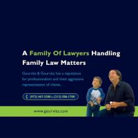 Gourvitz & Gourvitz, LLC ico