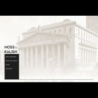 Moss & Kalish Pllc ico