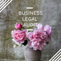 Kimberly Shin Law Firm PLLC ico