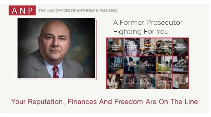 The Law Offices of Anthony N. Palumbo 4