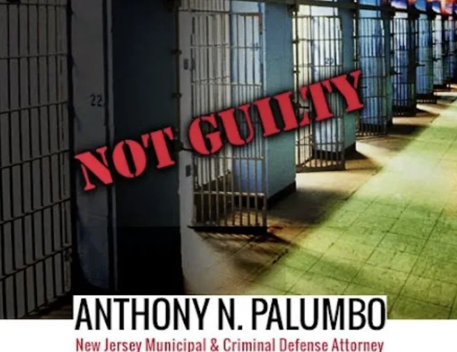 The Law Offices of Anthony N. Palumbo 4