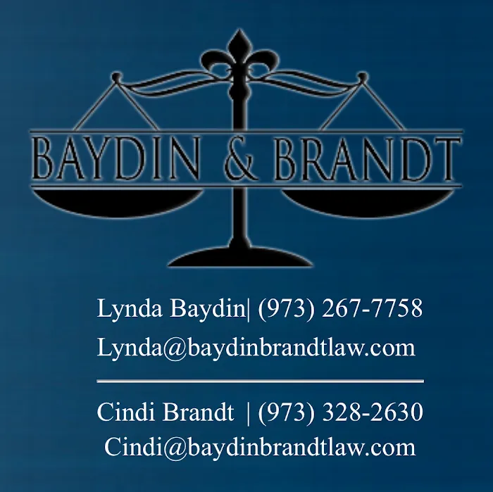 Baydin & Brandt 4
