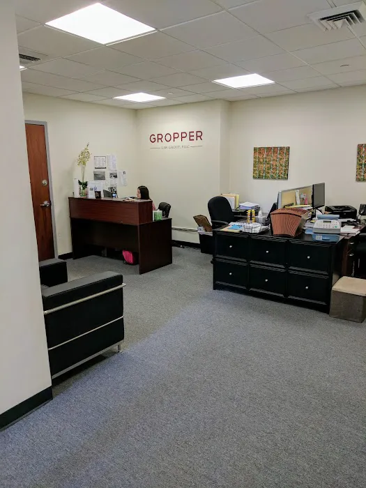 Gropper & Nejat, PLLC 3