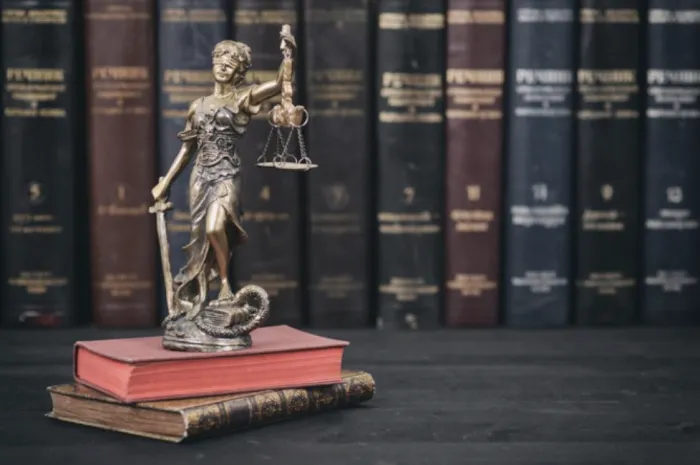 Vivian Demas Attorney at Law 4