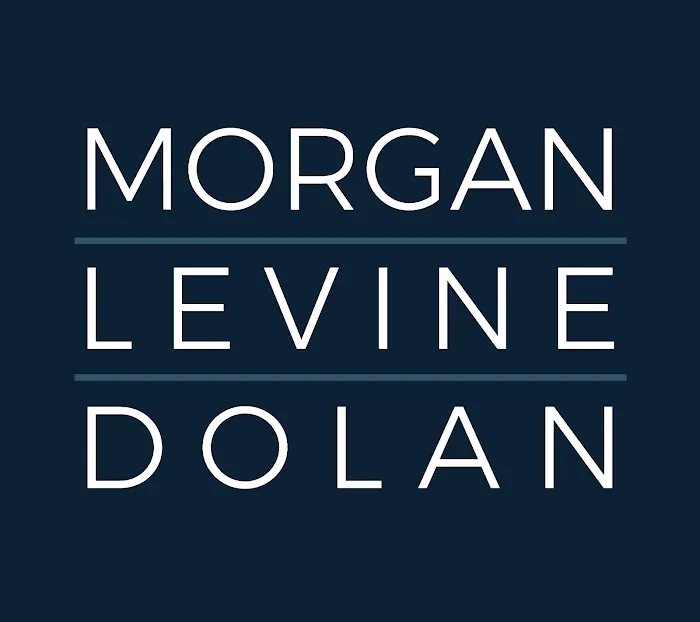 Morgan Levine Dolan, P.C. 4