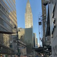 Blonder & Seymour & Shapps ico