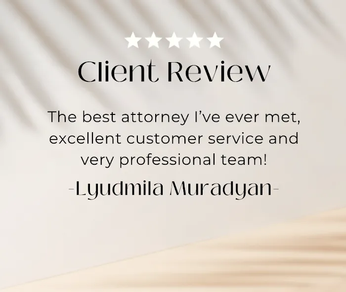 Vardanyan Law Group 4