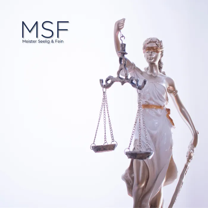 Meister Seelig & Fein PLLC 4