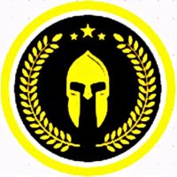 STIMCONSUL LTD. ico